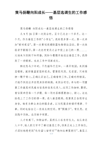 策马扬鞭向阳成长——基层选调生的工作感悟