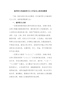 城市防火和森林防灭火工作会议上的讲话提纲