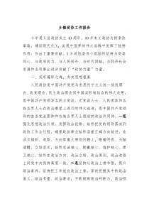 乡镇政协工作报告