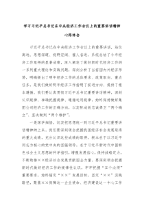 学习习近平总书记在中央经济工作会议上的重要讲话精神心得体会