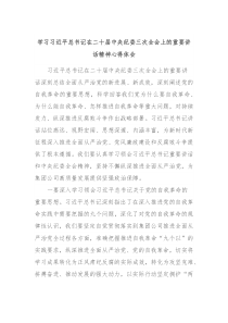 学习习近平总书记在二十届中央纪委三次全会上的重要讲话精神心得体会