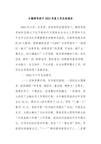 乡镇领导班子20XX年度工作总结报告