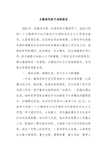 乡镇领导班子述职报告