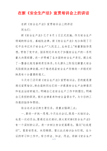 在新《安全生产法》宣贯培训会上的讲话