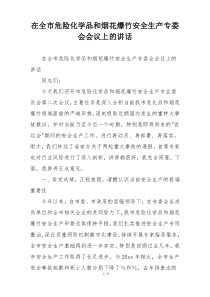 在全市危险化学品和烟花爆竹安全生产专委会会议上的讲话