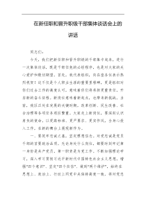 在新任职和晋升职级干部集体谈话会上的讲话