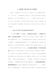 人大街道工委20XX年工作报告