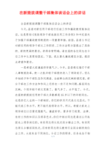 在新提拔调整干部集体谈话会上的讲话