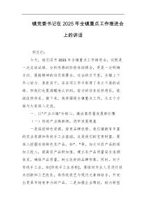 镇党委书记在2025年全镇重点工作推进会上的讲话