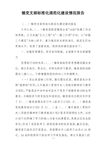 镇党支部标准化规范化建设情况报告