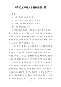 青年组工干部发言材料整理3篇
