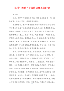 在村”两委“干部培训会上的讲话