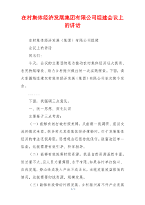 在村集体经济发展集团有限公司组建会议上的讲话