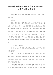 在县委常委班子以案促改专题民主生活会上的个人对照检查发言