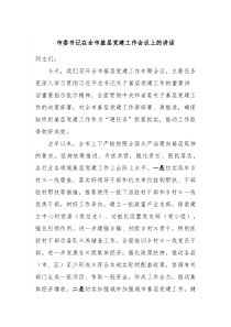 市委书记在全市基层党建工作会议上的讲话