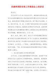 在森林消防安保工作推进会上的讲话