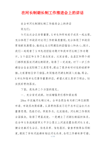 在河长制湖长制工作推进会上的讲话