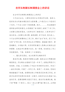 在河长制湖长制调度会上的讲话