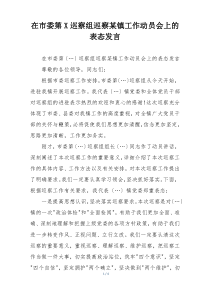 在市委第X巡察组巡察某镇工作动员会上的表态发言