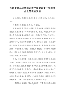 在市委第二巡察组巡察学校党总支工作动员会上的表态发言