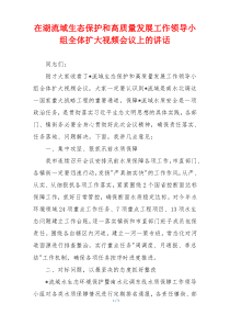 在湖流域生态保护和高质量发展工作领导小组全体扩大视频会议上的讲话