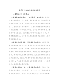 党委书记20XX年党建述职报告