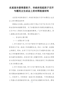 在某某市委常委班子、市政府党组班子召开专题民主生活会上的对照检查材料