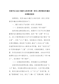 党委书记20XX年履行主体责任第一责任人职责情况和廉洁自律情况报告