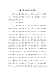 党委书记20XX年度述法报告
