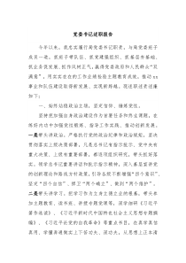 党委书记述职报告