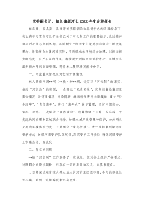 党委副书记镇长镇级河长20XX年度述职报告