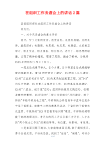 在组织工作务虚会上的讲话2篇