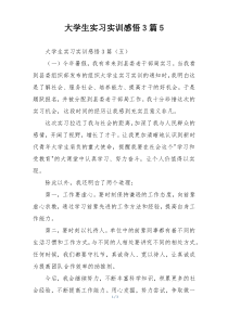 大学生实习实训感悟3篇5