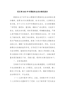 党支部20XX年专题组织生活会情况报告