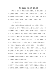 党支部20XX年度工作情况报告