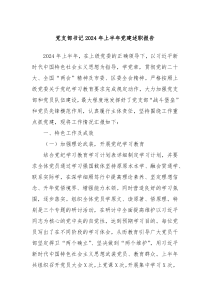 党支部书记2024年上半年党建述职报告