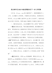 党支部书记20XX年度述职报告及下一步工作思路