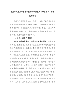 党支部关于上年度组织生活会和开展民主评议党员工作情况的报告