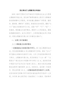 党支部关于主题教育自评报告
