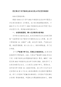 党支部关于召开组织生活会及民主评议党员的报告