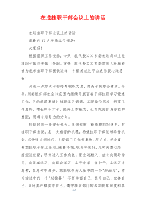 在送挂职干部会议上的讲话