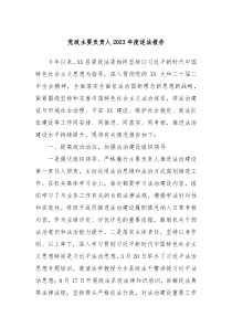 党政主要负责人20XX年度述法报告
