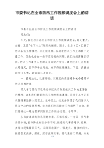 市委书记在全市防汛工作视频调度会上的讲话