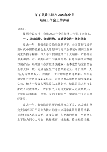 某某县委书记在20XX年全县经济工作会上的讲话