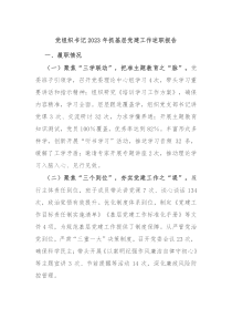 党组织书记2023年抓基层党建工作述职报告