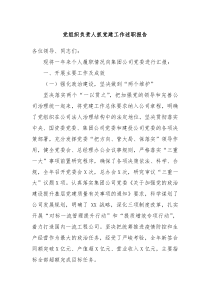 党组织负责人抓党建工作述职报告