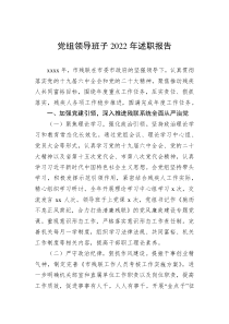 党组领导班子20XX年述职报告