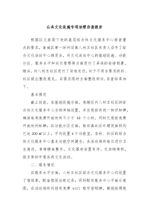 公共文化设施专项治理自查报告