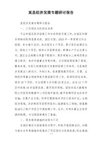 某县经济发展专题研讨报告