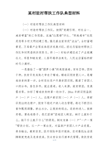 某村驻村帮扶工作队典型材料